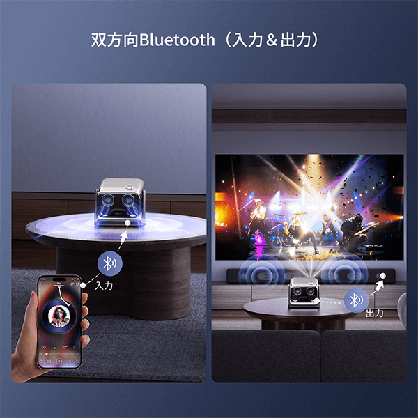 双蓝牙（デュアルBluetooth）